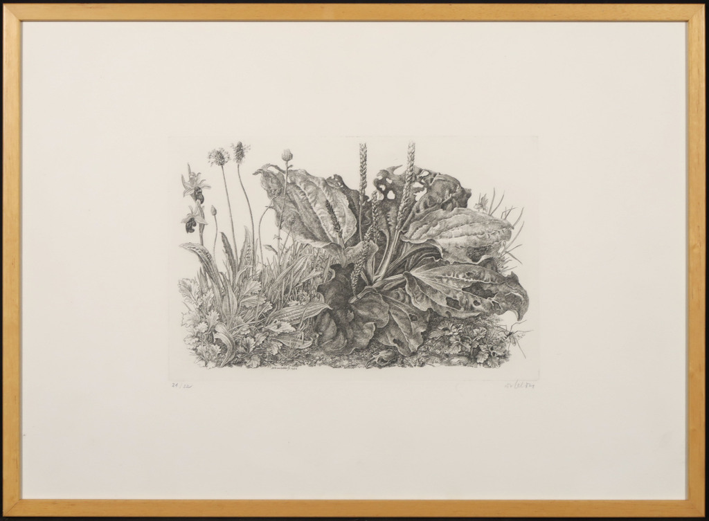 Dirk van Gelder: Ets, Zonder titel - Ingelijst kopen? Bied vanaf 50!