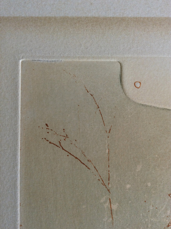 Renée Lubarow: kleurenets met reliefdruk, Les Larmes de la terre, ZZETS kopen? Bied vanaf 69!