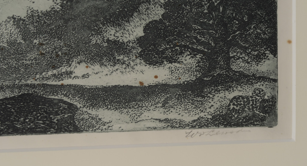 Willem van Leusden: Ets, Zwammen - Ingelijst kopen? Bied vanaf 1!