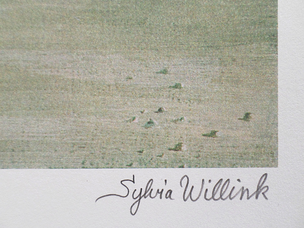 Carel Willink - Kameel in het park van Versailles, digitale kleurenprint kopen? Bied vanaf 75!