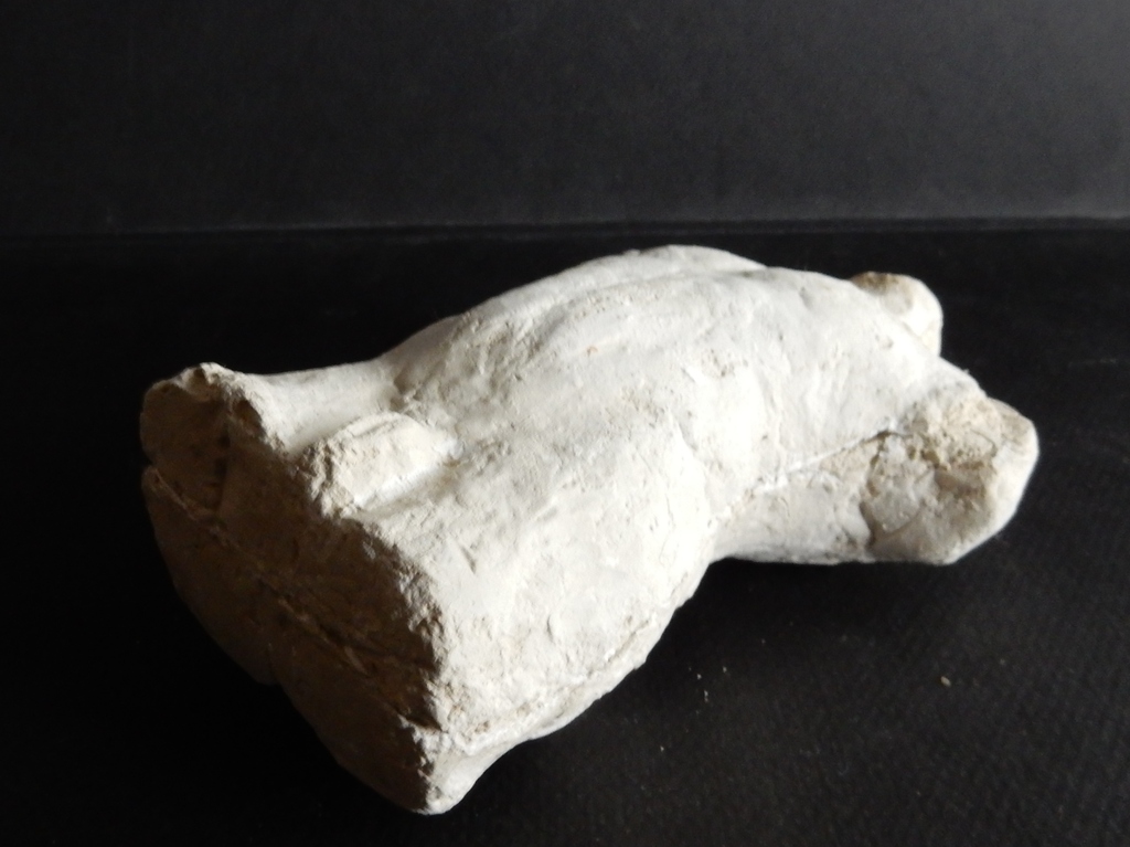 Constance Wibaut (1920-2014) - Torso kopen? Bied vanaf 125!