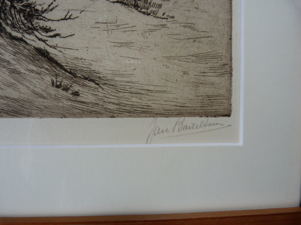 Jan Christoffel Bartelsman.( 1889-1948 ) -  ‘s Gravenhage, duingezicht. kopen? Bied vanaf 1!