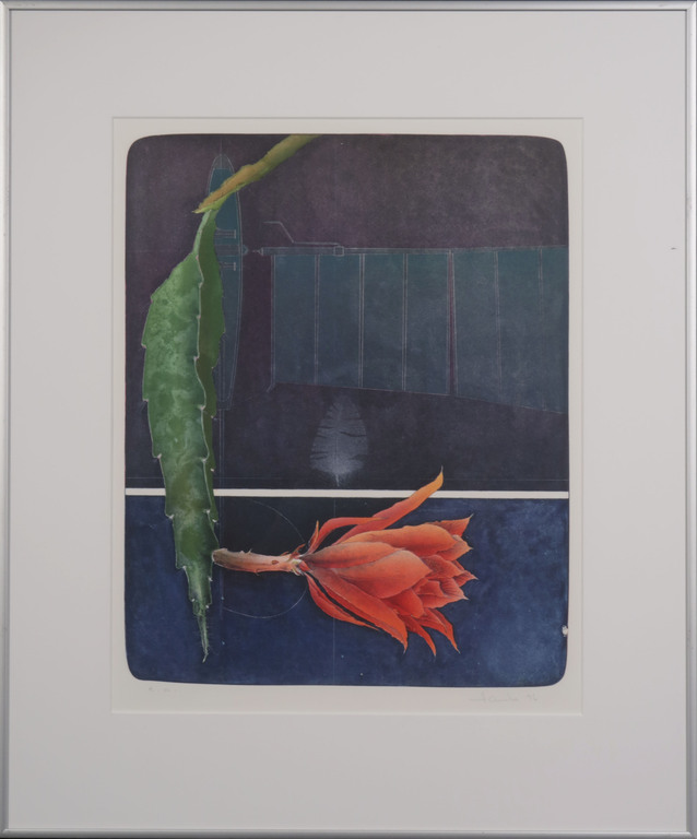 Ernst Hanke: Litho, Weihnachtskaktus - Ingelijst kopen? Bied vanaf 1!