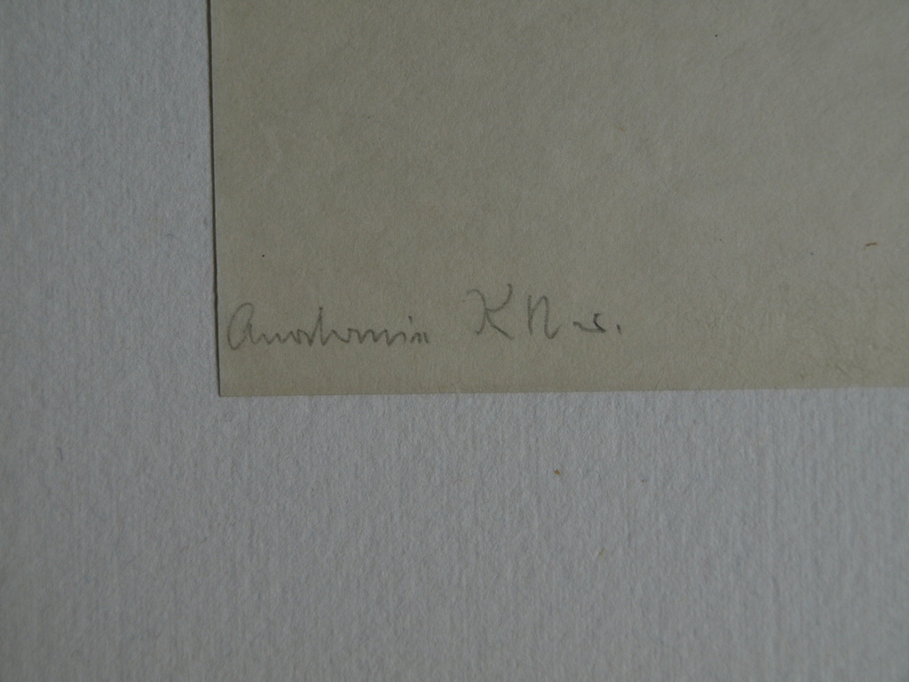 Onduidelijke signatuur : Ets – De autopsie / Anatomia  kopen? Bied vanaf 25!