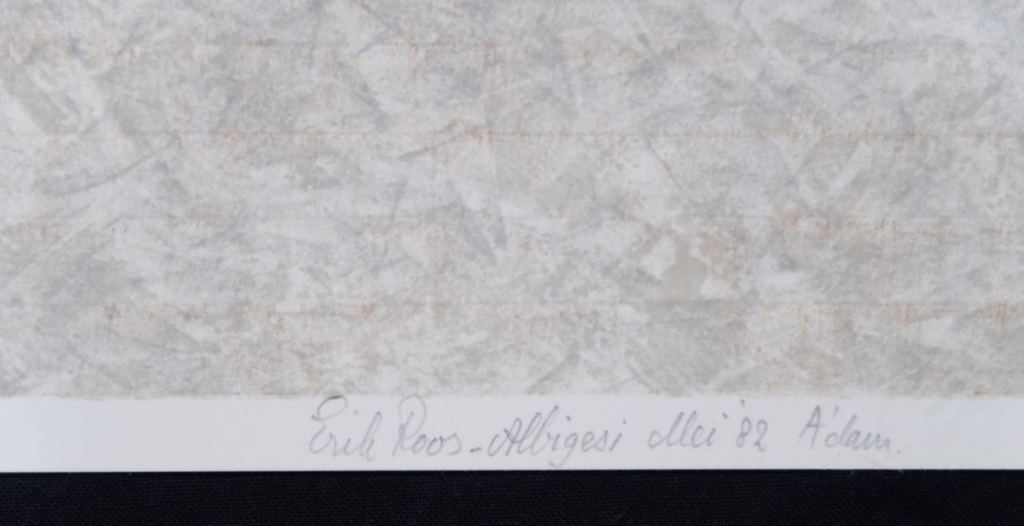 Erik Roos: Zeefdruk, Albigesi alei kopen? Bied vanaf 1!