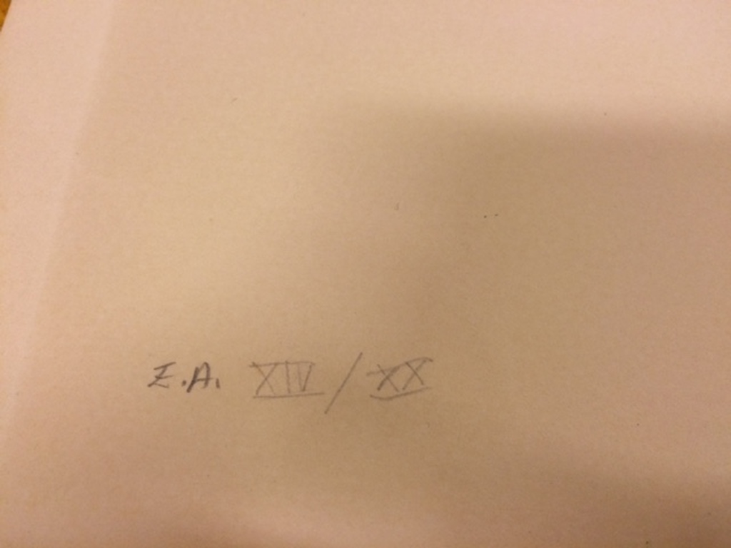 Milvia Maglione,titel Feuille, handgesigneerde litho, oplage E.A. XiV/XX, 1995 kopen? Bied vanaf 20!