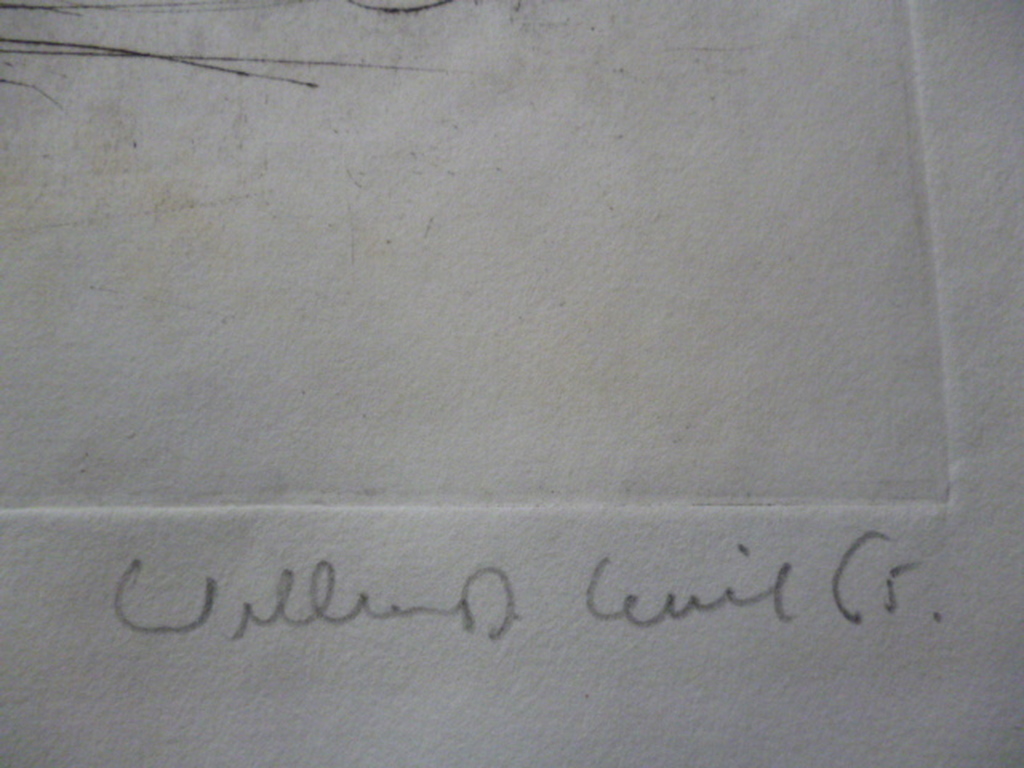 William D. (Dirkje) Kuik - ets - Verdorde bloemen kopen? Bied vanaf 60!