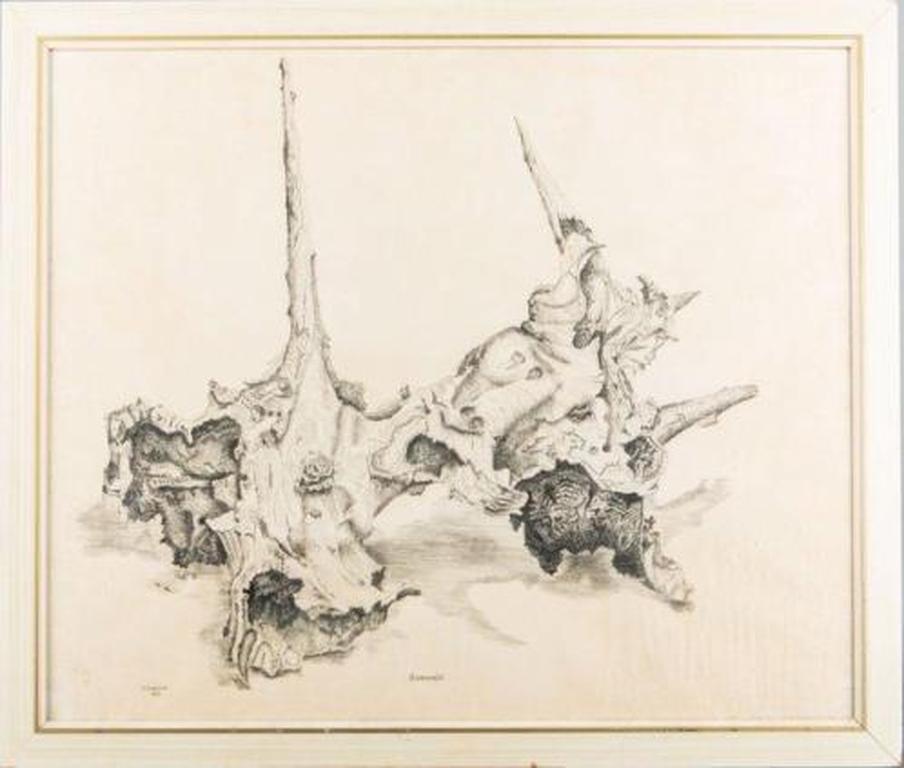 Nico Verboom (1927-2005) Boomstronk, tekening op papier, gesigneerd en gedateerd kopen? Bied vanaf 1!