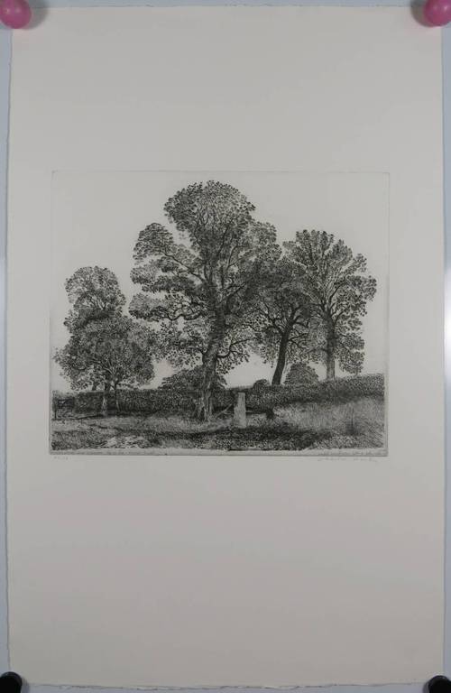 Charles Donker: Ets, 1 Juni. Overal jonge spreeuwen. Het is heet. Onweer dreigt. kopen? Bied vanaf 150!