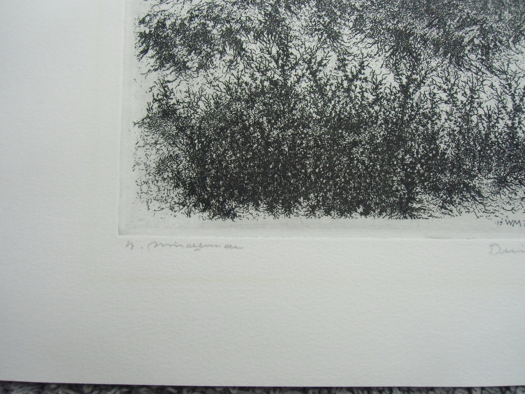 DUINPAN //  ETS VAN WILLEM MINDERMAN kopen? Bied vanaf 60!