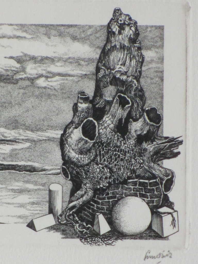 Lou Strik - Lou Strik, Gevormd door de elementen, Ets kopen? Bied vanaf 1!