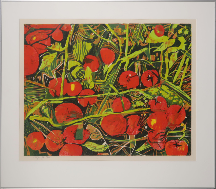 Vincent van Ojen: Lino, Wilde tomaten - Ingelijst verkocht voor € 45!