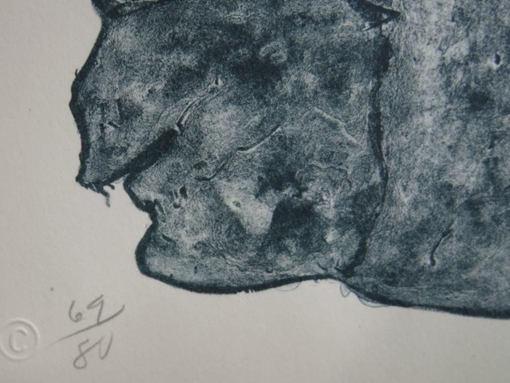 WIlliam T. Wiley: Lithografie, Wash Doubt.  kopen? Bied vanaf 1!