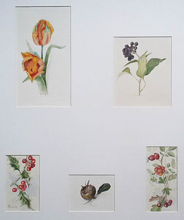 J. Paris - Bloemen en vruchten, 5x gemengde techniek (in passe-partout) kopen? Bied vanaf 40!
