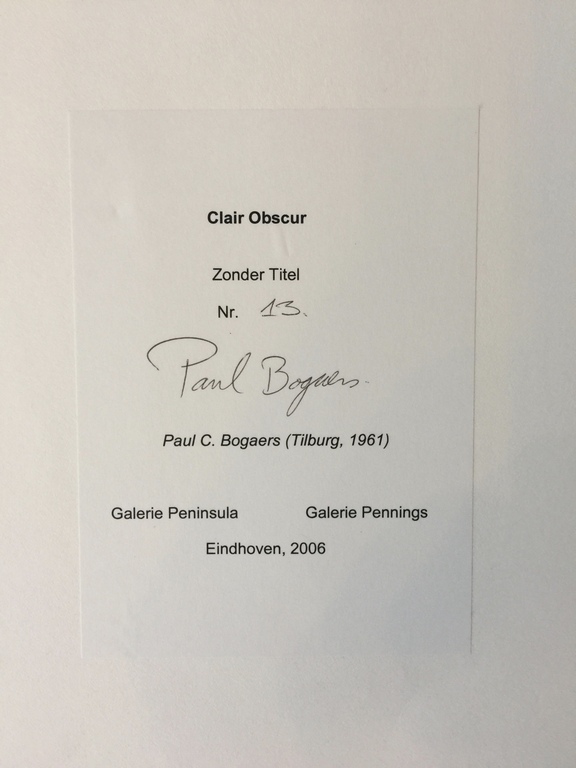 Paul Bogaers, titel: Zonder titel nr. 13, 2006 kopen? Bied vanaf 20!