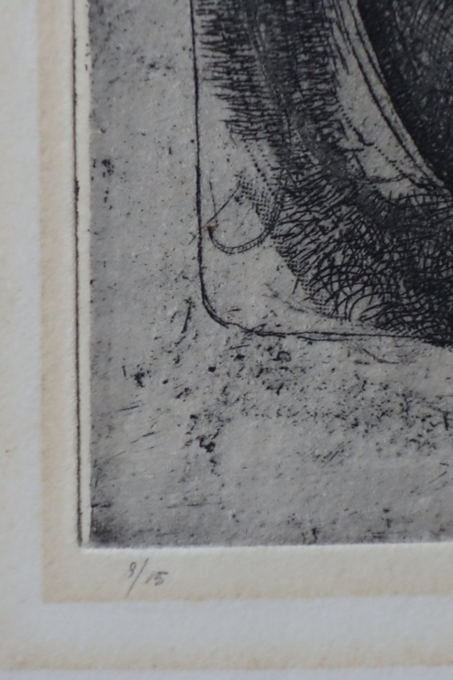 Charles Donker, compositie met insecten. kopen? Bied vanaf 1!