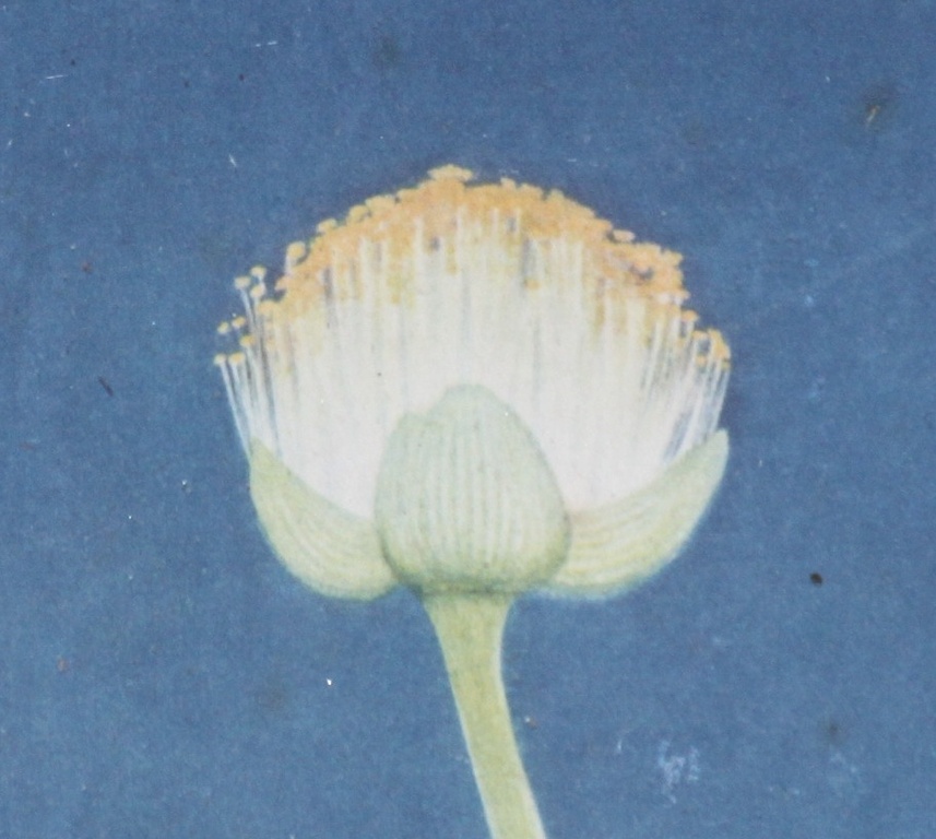 Smit. (F.) Aquarel 1928 kopen? Bied vanaf 1!