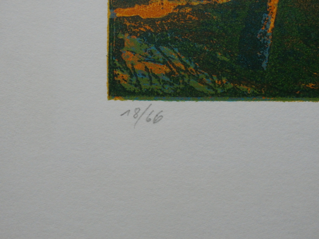 Elmar Gille - ets: oktober - 1995 kopen? Bied vanaf 69!