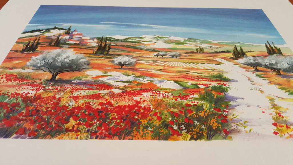 Ella Fort, Bloeiende klaprozen, Schitterende Kleuren Lithografie kopen? Bied vanaf 1!