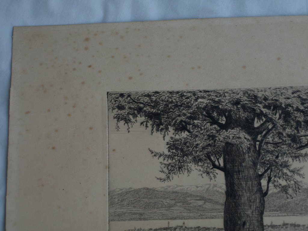 Onduidelijke signatuur : Ets , Berglandschap – Oud kopen? Bied vanaf 1!