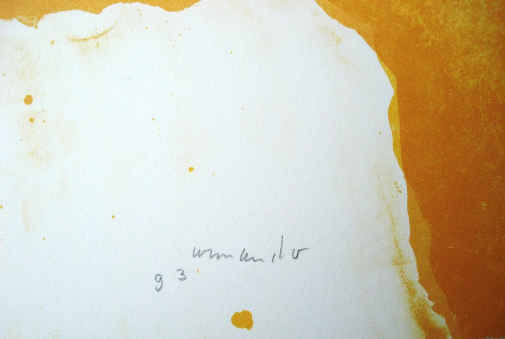 Armando grote litho Der Leiter kopen? Bied vanaf 595!