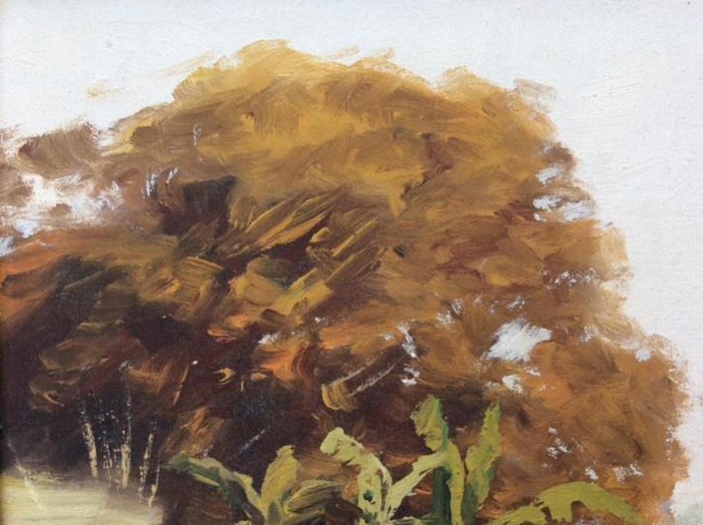 Sujatno Koempoel - Ossenkar kopen? Bied vanaf 199!