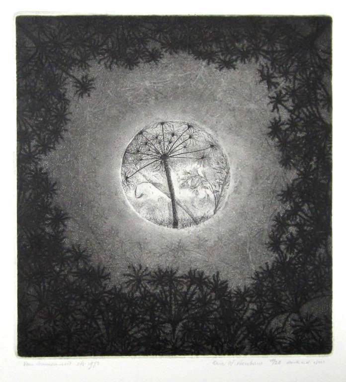 Eric Wittenberns, ets uit 1973 verkocht voor € 70!