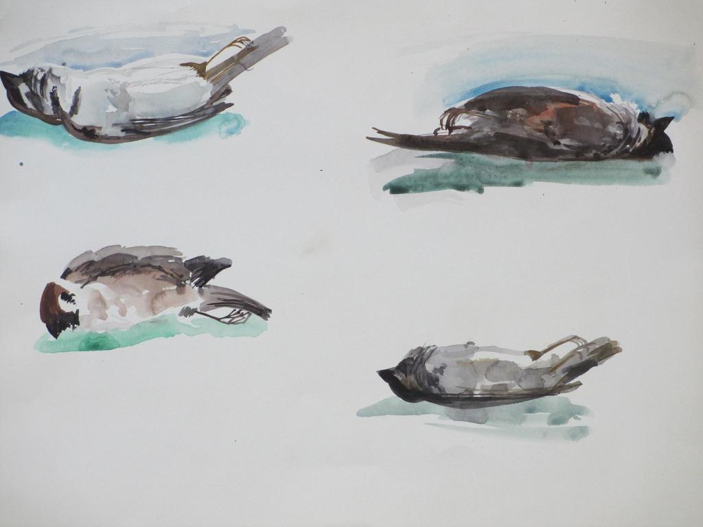 Hannie Bouman, Dode mus, Aquarel kopen? Bied vanaf 1!