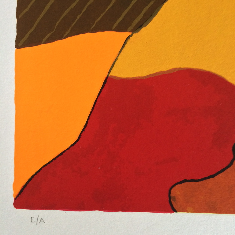 Ronald Boonacker: Zeefdruk , Lago kopen? Bied vanaf 50!