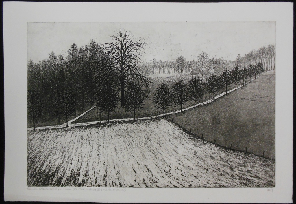 Paulien Wittenrood: Ets, Mariendaal IV (natte sneeuw) kopen? Bied vanaf 35!