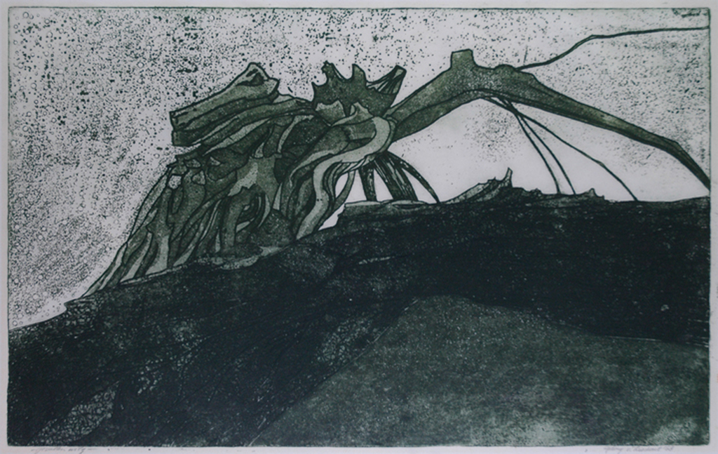 Anthony van Lieshout: Gevallen wilg - ets-aquatint, 1968 kopen? Bied vanaf 60!