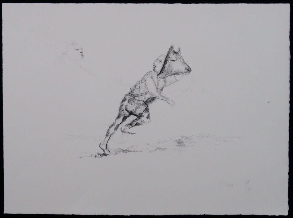 Han Mes: Litho, Masker kopen? Bied vanaf 50!