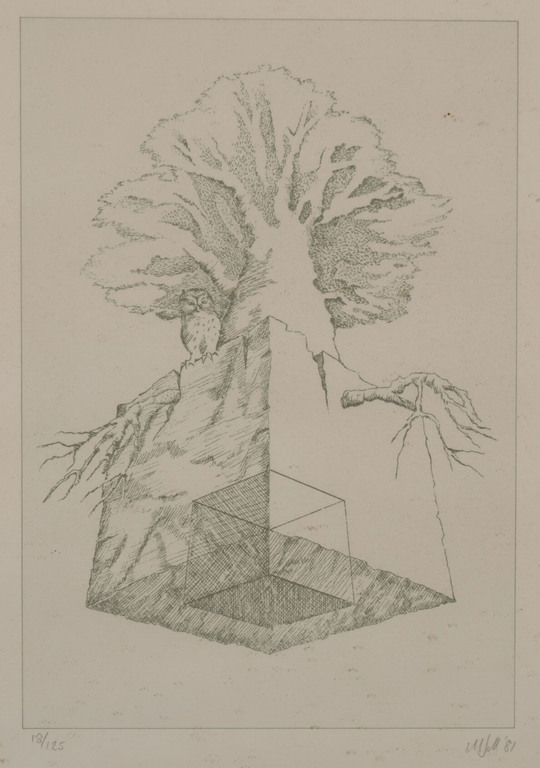 Onbekend gesigneerd: Litho, Boom en uil - Ingelijst kopen? Bied vanaf 1!