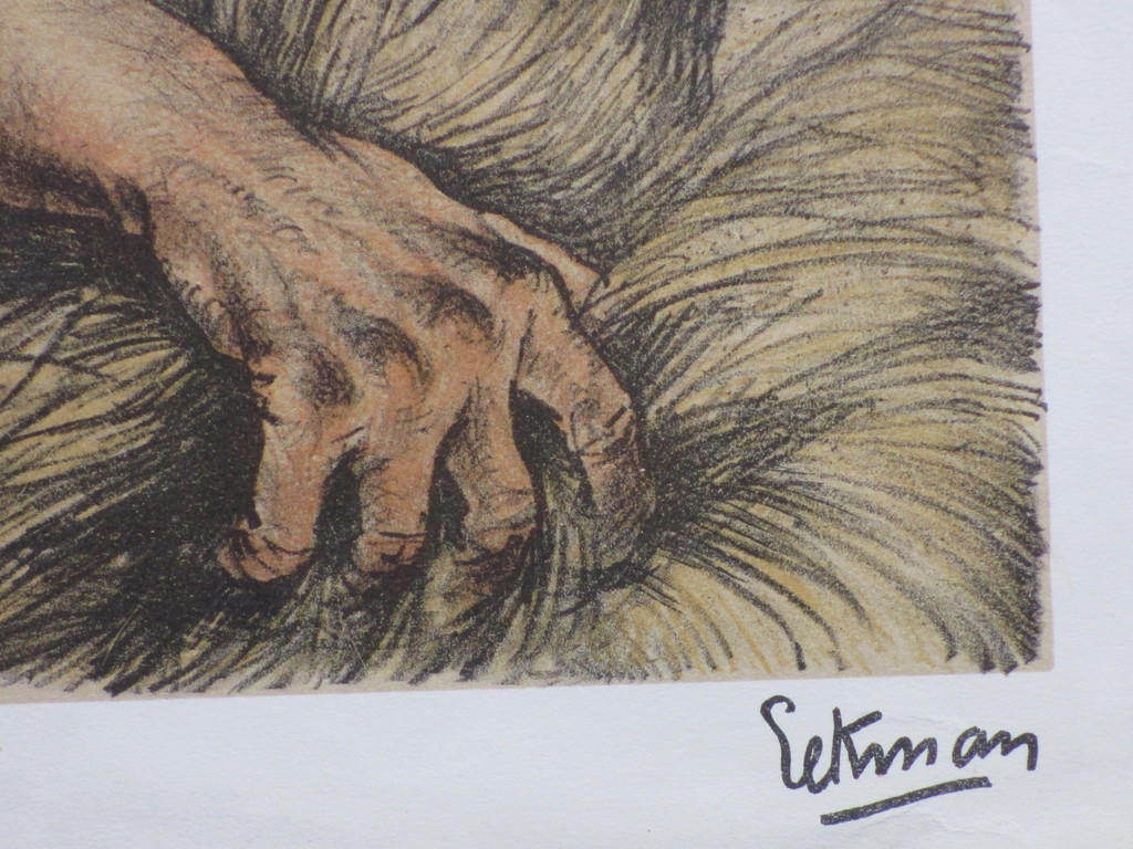 Nikolaas Eekman, De oogster, Litho kopen? Bied vanaf 1!