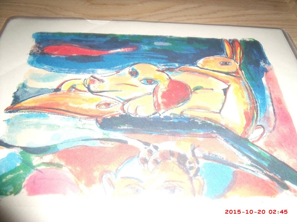 Hope for Happiness  1995  Zeefdruk  1/25 kopen? Bied vanaf 30!