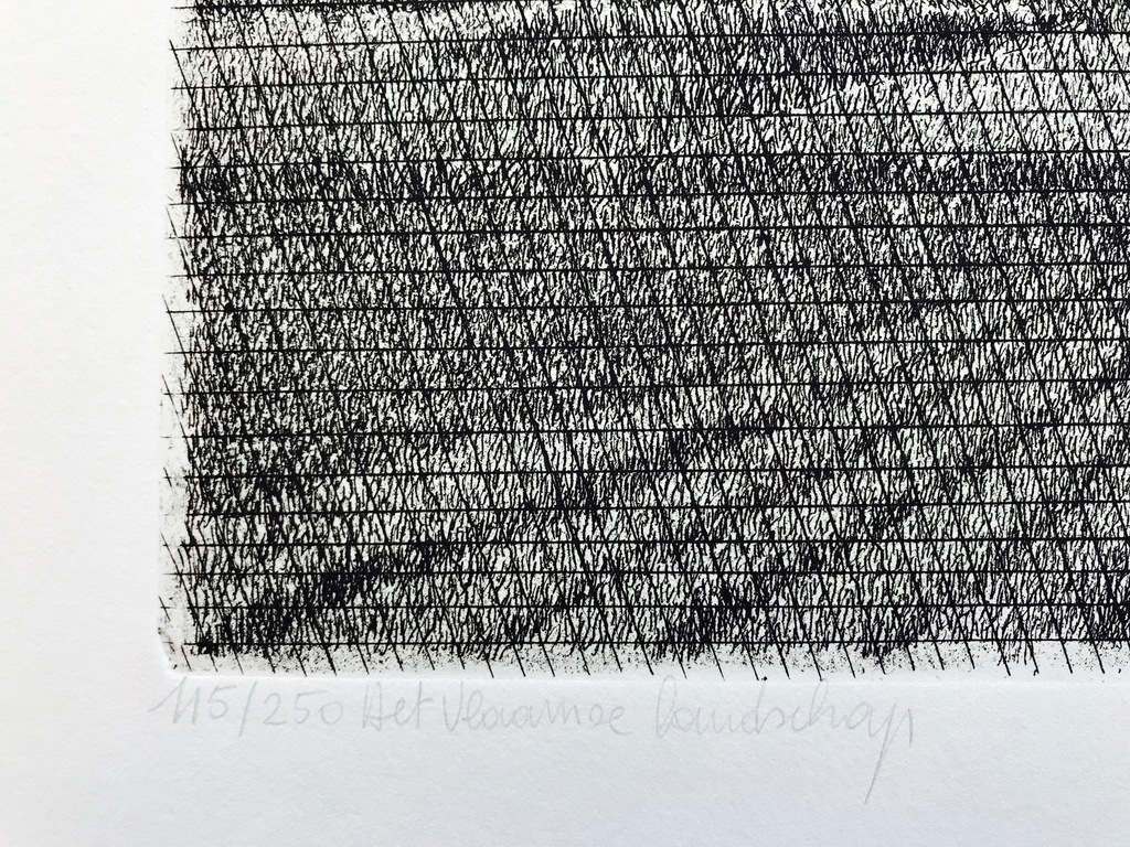 Onbekend kunstenaar - Ets - 'Het Vlaamse Landschap' kopen? Bied vanaf 25!
