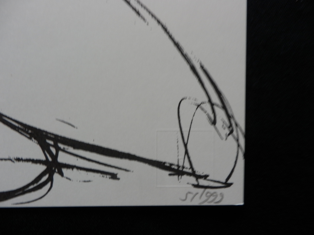 ANNEMARIE de GROOT  Zeefdruk  NAAKT  Handgesigneerd  kopen? Bied vanaf 10!