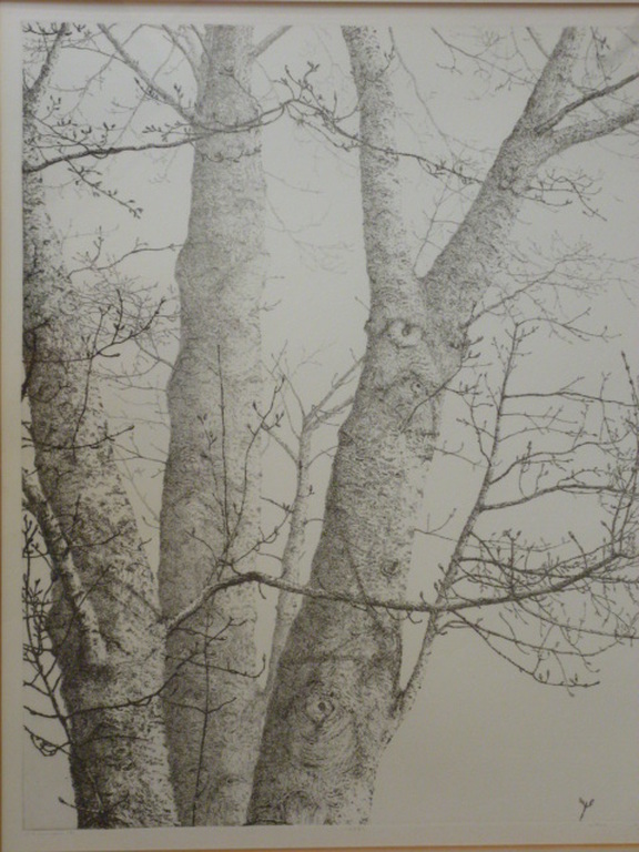 Reinder Homan - ets - Esdoorn verkocht voor € 125!