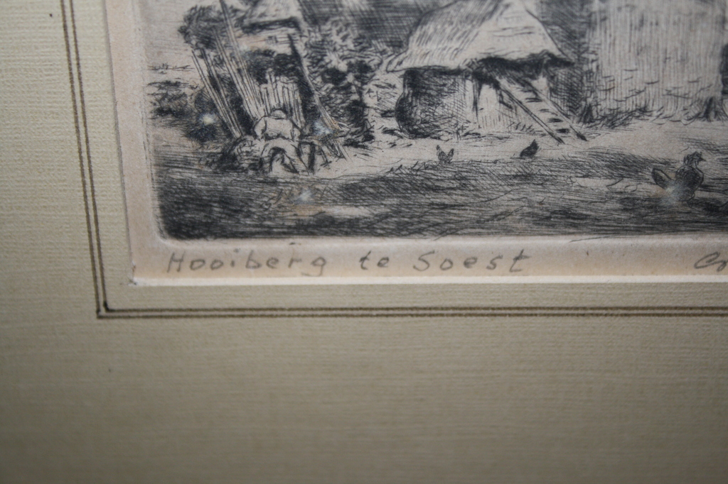 HOOIBERG TE SOEST - ETS kopen? Bied vanaf 1!