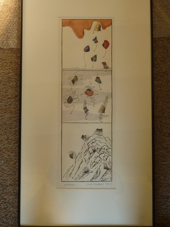 Carla Kleekamp, Kleurenets, Pollution kopen? Bied vanaf 75!