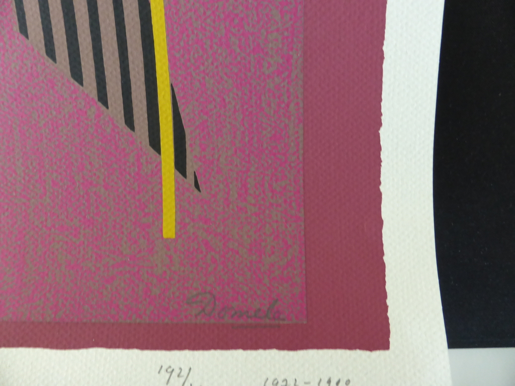 Heel mooie litho handgesigneerd en genummerd kopen? Bied vanaf 200!