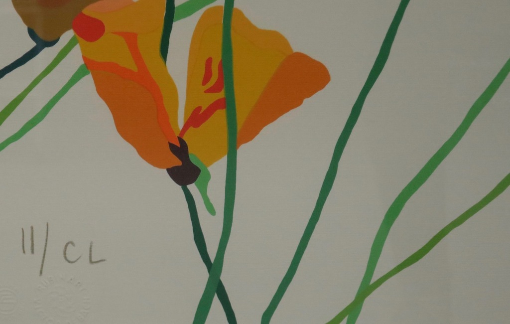 Franco Costa: Litho, Fiori per tutti - Ingelijst (Groot) kopen? Bied vanaf 1!