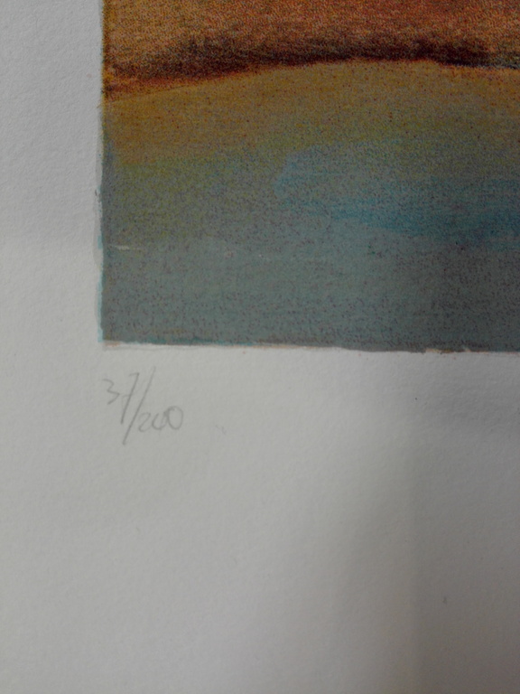 Hans van den Berg, zeefdruk op papier, Titel: Toulon kopen? Bied vanaf 40!