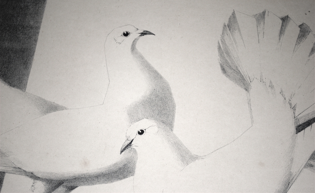 Jo van Oosten Slingeland -- prachtige litho van twee siervogels  kopen? Bied vanaf 1!