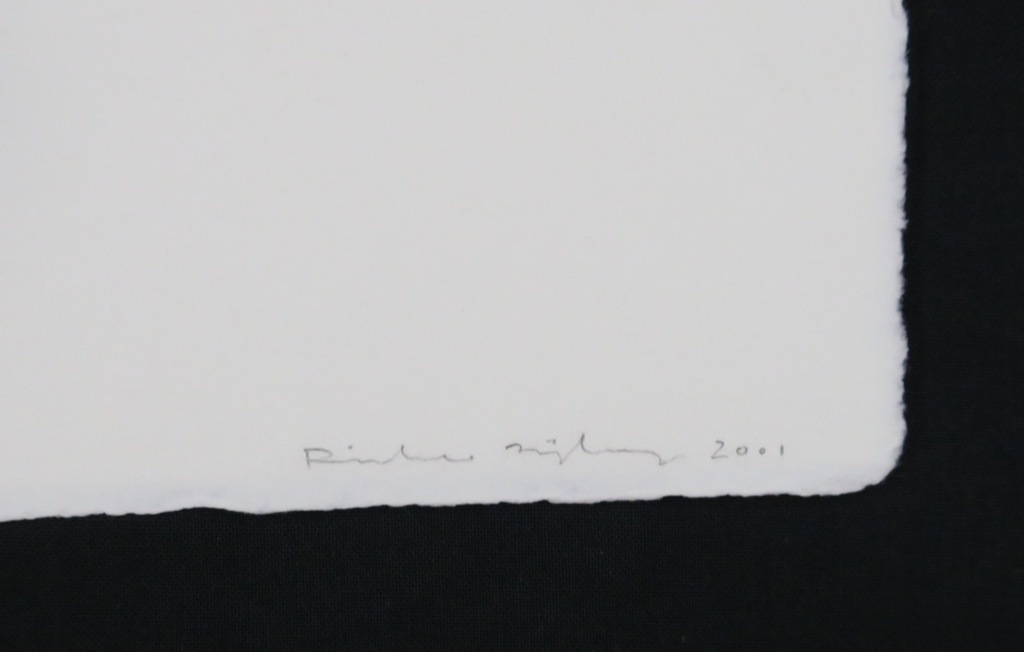Rinke Nijburg: Ets en Litho, Snake's view kopen? Bied vanaf 1!