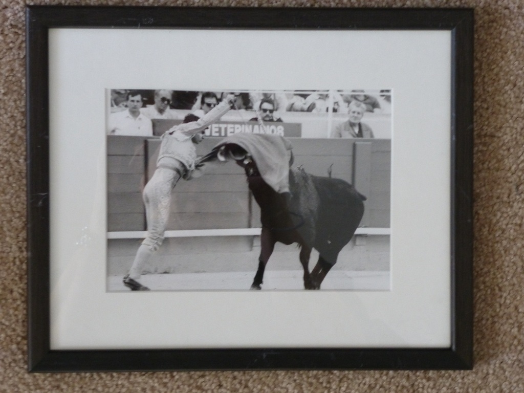 Paul Blanca, Novillos, ingelijste foto, handgesigneerd kopen? Bied vanaf 110!
