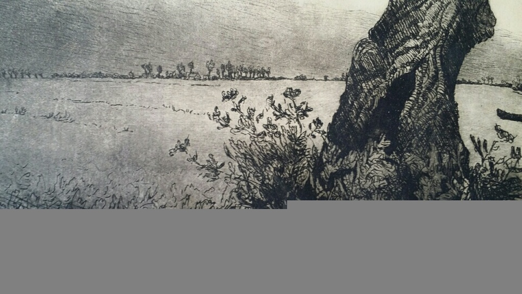 Ets, knotwilg, Chris van der Woerd, gesigneerd kopen? Bied vanaf 1!