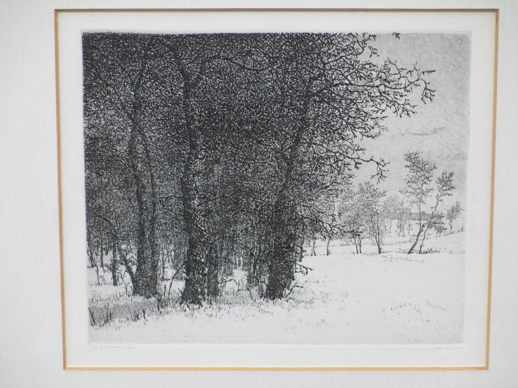 Reinder Homan, Winterlandschap, Ets verkocht voor € 90!