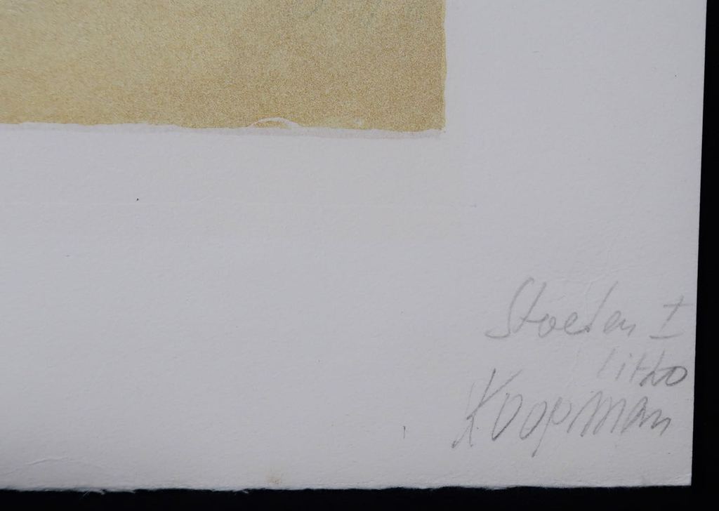 Hans Koopman: Litho, Stoelen I kopen? Bied vanaf 1!