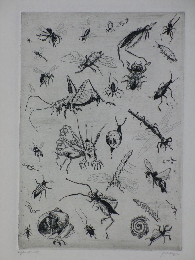 Ko Prange, Insecten, Ets verkocht voor € 35!